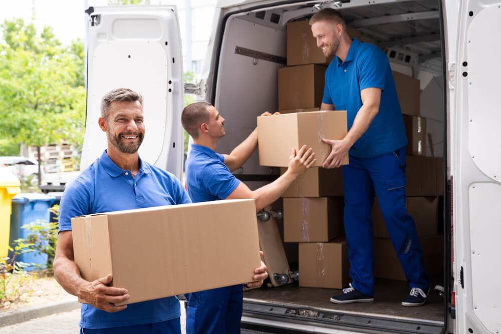 Packing And Unpacking Services