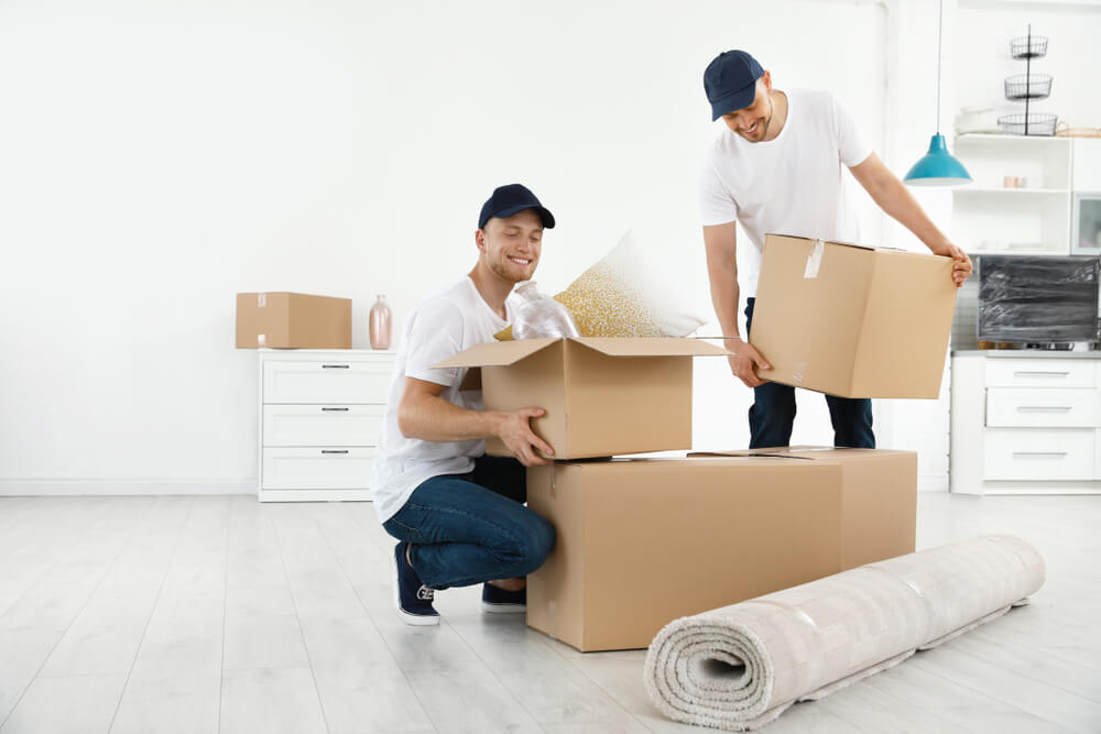 Professional Movers Satsuma