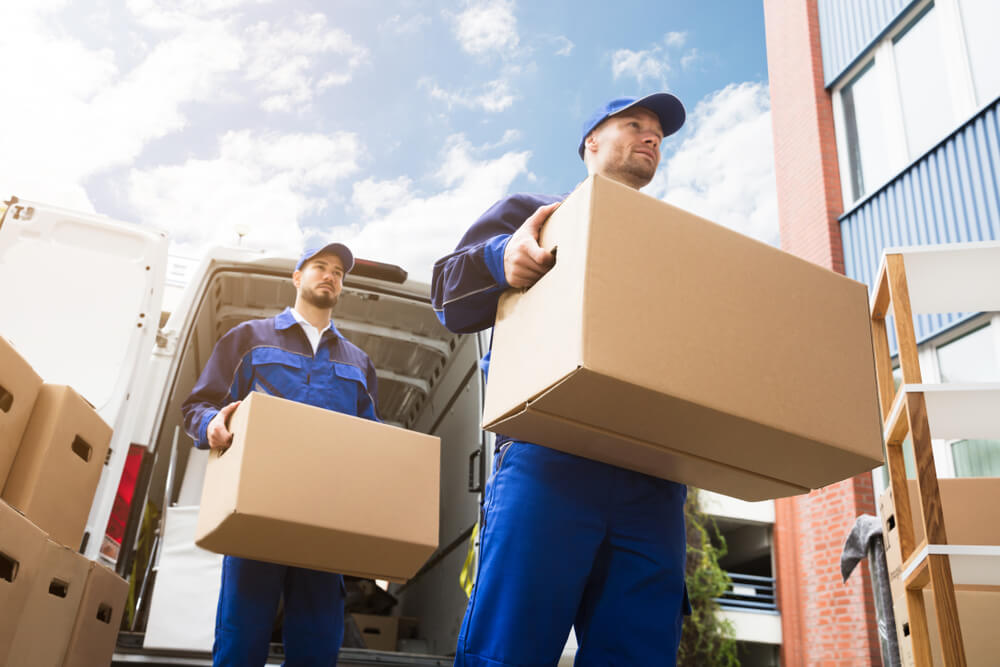 Efficient Business Moving Services Yalaha